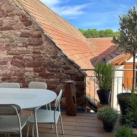 Maison Village, Proche Aeroport Strasbourg Entzheim , Ideale Deplacement Professionnel *