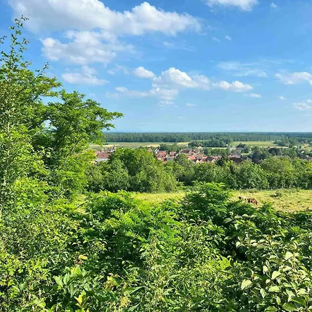 Maison Village, Proche Zone D'activités, Idéale Déplacement Professionnel Blaesheim