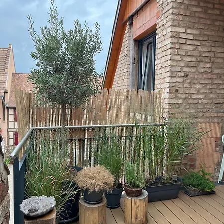 Maison Village, Proche Aeroport Strasbourg Entzheim , Ideale Deplacement Professionnel Holiday home Blaesheim