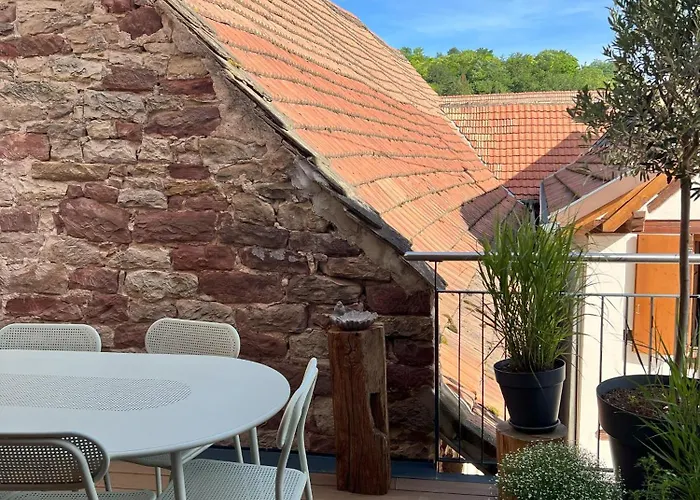 Maison Village, Proche Aeroport Strasbourg Entzheim , Ideale Deplacement Professionnel *