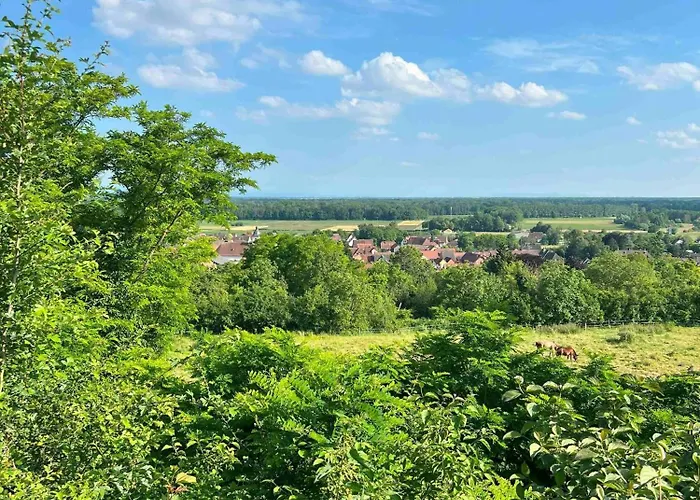 Maison Village, Proche Zone D'activités, Idéale Déplacement Professionnel Blaesheim