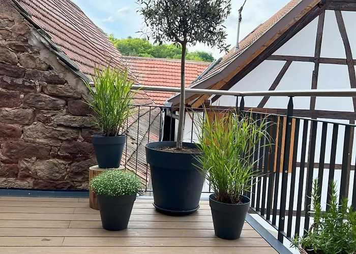 Maison Village, Proche Zone D'activités, Idéale Déplacement Professionnel Hébergement de vacances Blaesheim