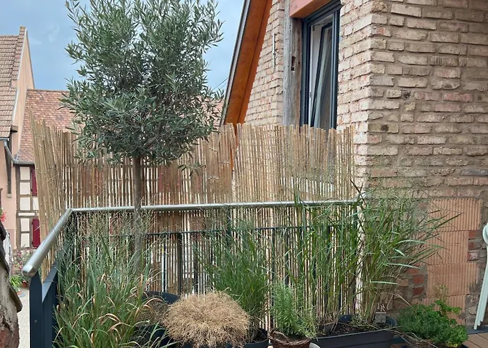 Maison Village, Proche Zone D'activités, Idéale Déplacement Professionnel Hébergement de vacances Blaesheim